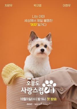 今天也很可爱的狗 第11集