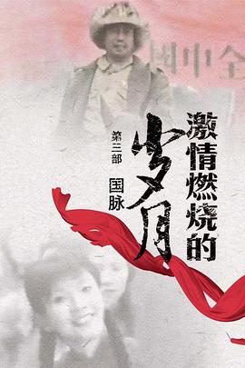 激情燃烧的岁月3 第17集
