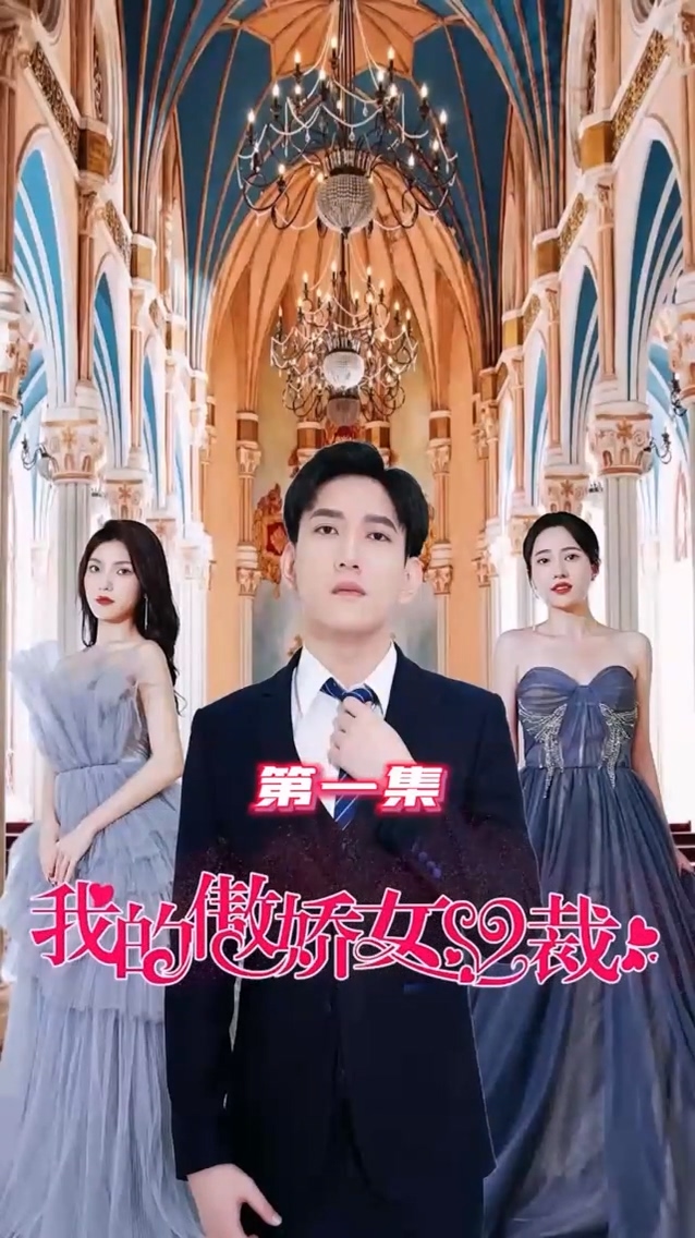 我的傲娇女总裁 第28集