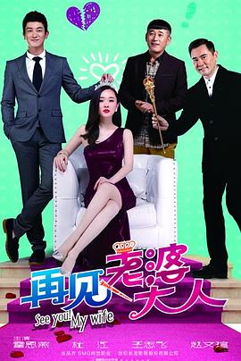 再见，老婆大人 第17集