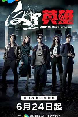 反黑英雄国语 第07集
