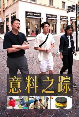 意料之踪 第06集