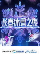 长春冰雪之夜(全集)