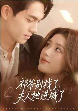 祁爷别找了，夫人她进城了(全集)