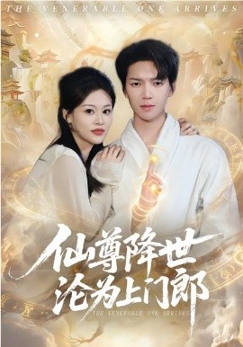仙尊降世沦为上门郎(全集)